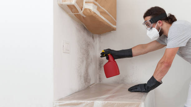 Professional Mold Removal technician working in Riverside, PA